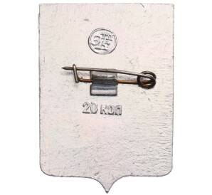 Значок «Герб города Кинешма» — Фото №2