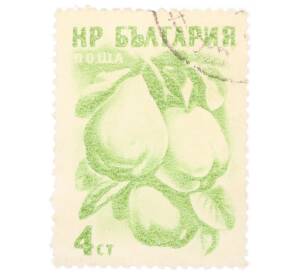 Почтовая марка 4 стотинки 1957 года Болгария «Айва (Cydonia oblonga)»