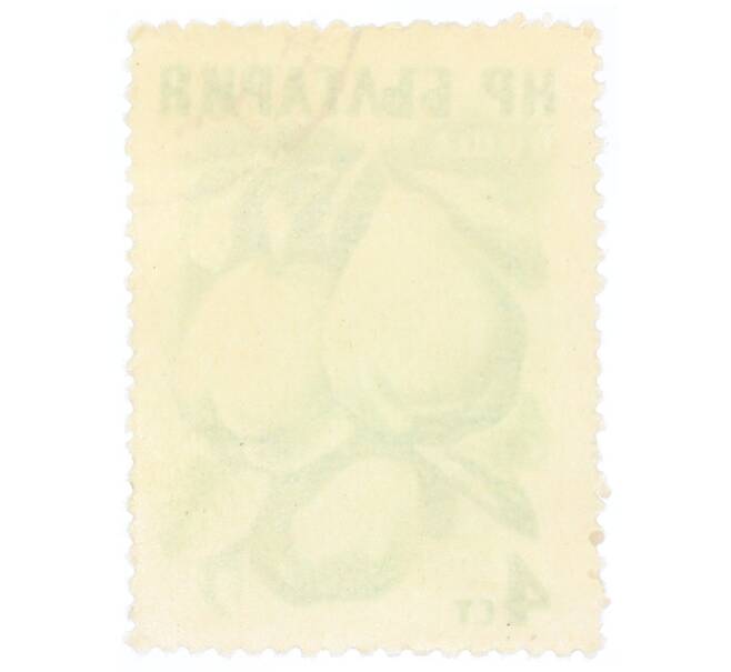 Почтовая марка 4 стотинки 1957 года Болгария «Айва (Cydonia oblonga)» (Артикул: P2-0704) — Фото №2