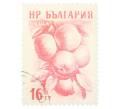 Почтовая марка 16 стотинок 1957 года Болгария «Яблоки (Malus sylvestris var domestica)» (Артикул: P2-0706) — Фото №1