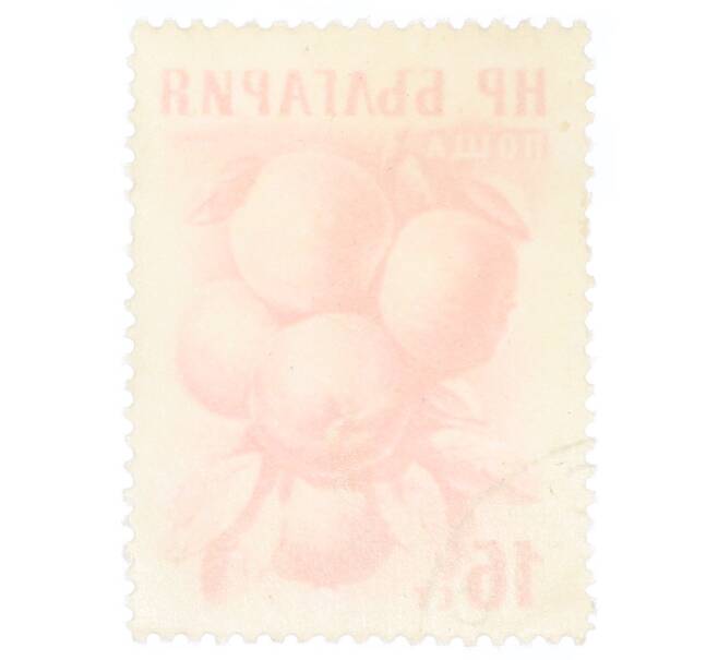 Почтовая марка 16 стотинок 1957 года Болгария «Яблоки (Malus sylvestris var domestica)» (Артикул: P2-0706) — Фото №2