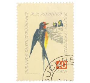 Почтовая марка 40 бани 1959 года Румыния «Амбарная ласточка (Hirundo rustica)»