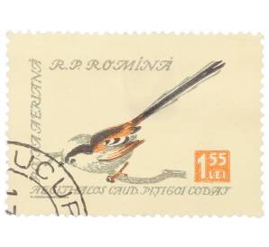 Почтовая марка 1.55 лей 1959 года Румыния «Длиннохвостая синица (Aegithalos caudatus)»