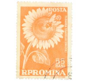Почтовая марка 55 бани 1959 года Румыния «Подсолнечник (Helianthus annuus) с пчелой»