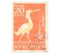 Почтовая марка 20 бани 1957 года Румыния «Евразийская колпица (Platalea leucorodia)» (Артикул: P2-0719) — Фото №1