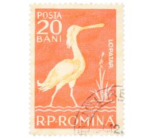 Почтовая марка 20 бани 1957 года Румыния «Евразийская колпица (Platalea leucorodia)»