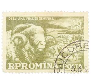 Почтовая марка 55 бани 1959 года Румыния «Домашние овцы (Ovis ammon aries)»