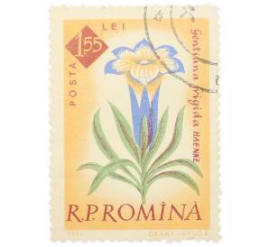 Почтовая марка 1.55 лей 1959 года Румыния «Столетие ботанического сада Бухареста — Горечавка (Gentiana frigida)»