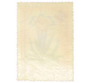 Почтовая марка 1.55 лей 1959 года Румыния «Столетие ботанического сада Бухареста — Горечавка (Gentiana frigida)»