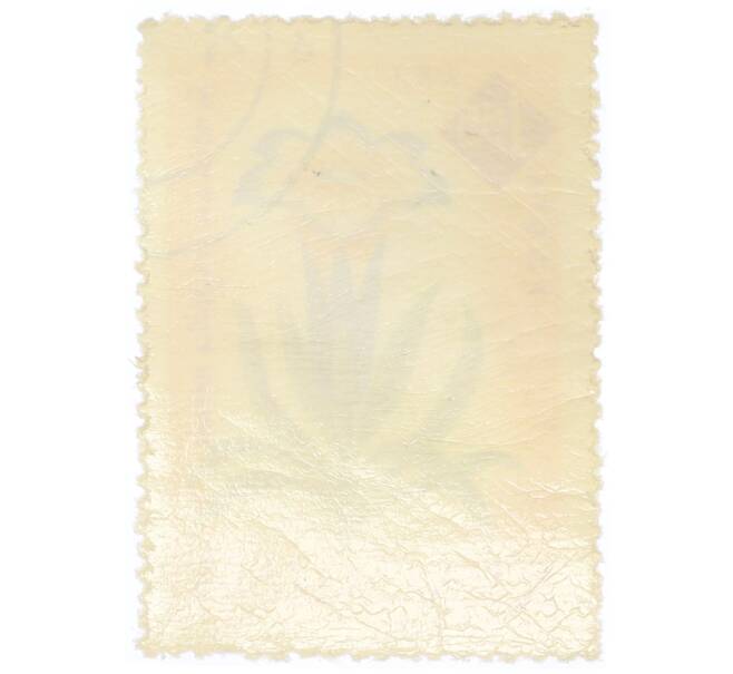 Почтовая марка 1.55 лей 1959 года Румыния «Столетие ботанического сада Бухареста — Горечавка (Gentiana frigida)» (Артикул: P2-0728) — Фото №2