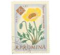 Почтовая марка 1.2 лея 1959 года Румыния «Столетие ботанического сада Бухареста — Пиренейский мак (Papaver pyrenaicum)» (Артикул: P2-0729) — Фото №1