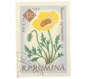 Почтовая марка 1.2 лея 1959 года Румыния «Столетие ботанического сада Бухареста — Пиренейский мак (Papaver pyrenaicum)»