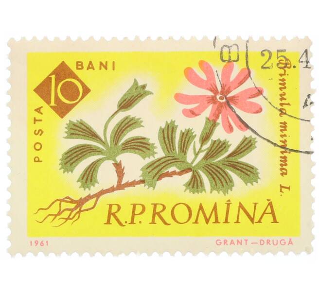 Почтовая марка 10 бани 1959 года Румыния «Столетие ботанического сада Бухареста — Карликовая примула (Primula minima)» (Артикул: P2-0730) — Фото №1