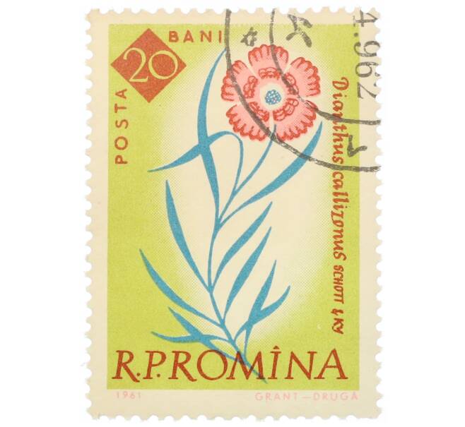 Почтовая марка 20 бани 1959 года Румыния «Столетие ботанического сада Бухареста — Королевская гвоздика (Dianthus callizonus)» (Артикул: P2-0731) — Фото №1