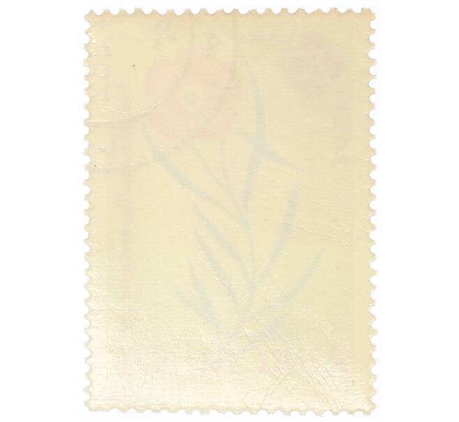 Почтовая марка 20 бани 1959 года Румыния «Столетие ботанического сада Бухареста — Королевская гвоздика (Dianthus callizonus)» (Артикул: P2-0731) — Фото №2