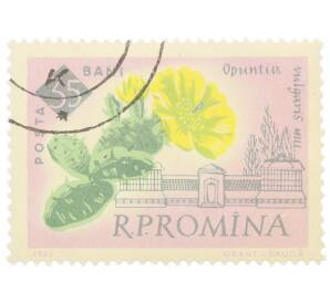 Почтовая марка 35 бани 1959 года Румыния «Столетие ботанического сада Бухареста — Опунция обыкновенная (Opuntla vulgaris)»