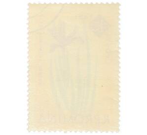 Почтовая марка 40 бани 1959 года Румыния «Столетие ботанического сада Бухареста — Ирис алжирский (Iris brandzae)»