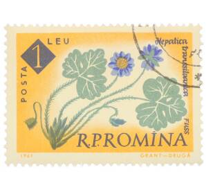 Почтовая марка 1 лей 1959 года Румыния «Столетие ботанического сада Бухареста — Печеночница (Hepatica angulosa)»