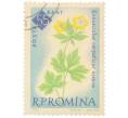 Почтовая марка 55 бани 1959 года Румыния «Столетие ботанического сада Бухареста — Карпатский лютик (Ranunculus carpathicus)» (Артикул: P2-0735) — Фото №1