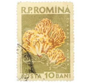 Почтовая марка 10 бани 1958 года Румыния «Грибы — Золотистый коралловый гриб (Clavaria aurea)»