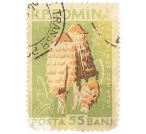 Почтовая марка 55 бани 1958 года Румыния «Грибы — Мохнатая чернильная шапочка (Coprinus comatus)»