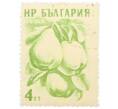 Почтовая марка 4 стотинки 1957 года Болгария «Айва (Cydonia oblonga)» (Артикул: P2-0808) — Фото №1