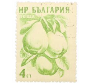 Почтовая марка 4 стотинки 1957 года Болгария «Айва (Cydonia oblonga)»