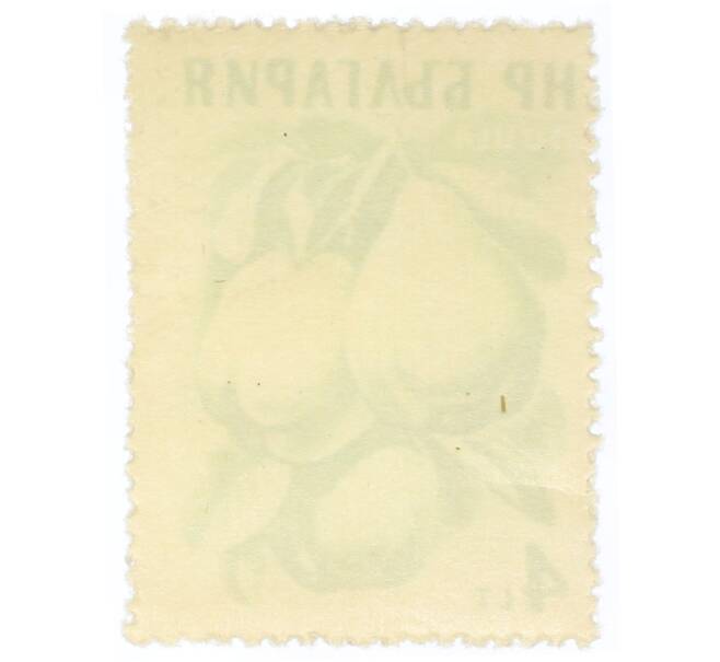 Почтовая марка 4 стотинки 1957 года Болгария «Айва (Cydonia oblonga)» (Артикул: P2-0808) — Фото №2