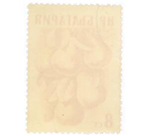 Почтовая марка 8 стотинок 1957 года Болгария «Груши»