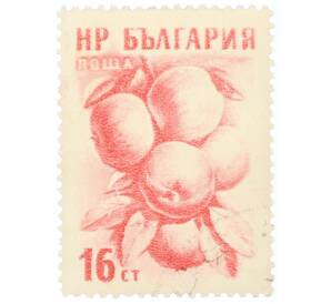 Почтовая марка 16 стотинок 1957 года Болгария «Яблоки (Malus sylvestris var domestica)»