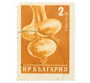 Почтовая марка 2 стотинки 1958 года Болгария «Лук (Allium cepa)» — Фото №1