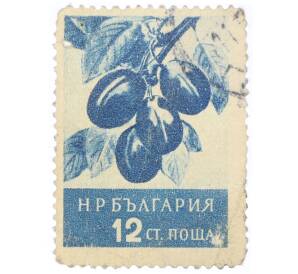 Почтовая марка 12 стотинок 1956 года Болгария «Сливы (Prunus domestica)» — Фото №1