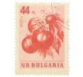 Почтовая марка 44 стотинки 1958 года Болгария «Помидор (Lycopersicon esculentum)» (Артикул: P2-0814) — Фото №1