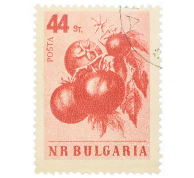 Почтовая марка 44 стотинки 1958 года Болгария «Помидор (Lycopersicon esculentum)» (Артикул: P2-0814) — Фото №1