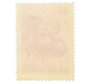 Почтовая марка 44 стотинки 1958 года Болгария «Помидор (Lycopersicon esculentum)» — Фото №2