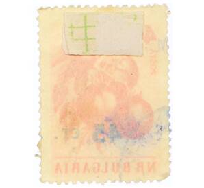 Почтовая марка 45 стотинок 1959 года Болгария «Помидор (Lycopersicon esculentum)» (Надпечатка на 44 стотинках 1958 года) — Фото №2