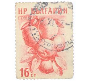 Почтовая марка 16 стотинок 1956 года Болгария «Яблоки (Malus sylvestris var domestica)» — Фото №1