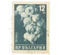 Почтовая марка 12 стотинок 1958 года Болгария «Чеснок» (Артикул: P2-0821) — Фото №1