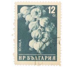 Почтовая марка 12 стотинок 1958 года Болгария «Чеснок» — Фото №1