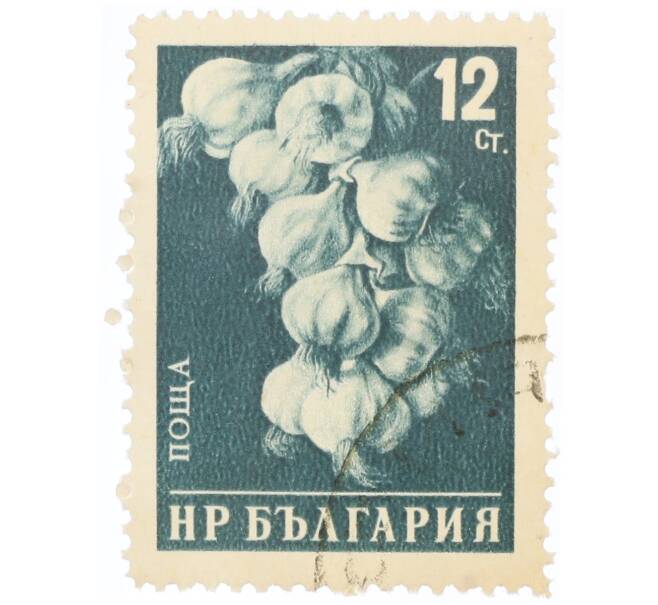 Почтовая марка 12 стотинок 1958 года Болгария «Чеснок» (Артикул: P2-0821) — Фото №1