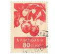 Почтовая марка 80 стотинок 1956 года Болгария «Клубника (Fragaria ananassa)» (Артикул: P2-0822) — Фото №1