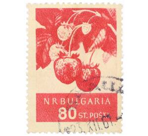Почтовая марка 80 стотинок 1956 года Болгария «Клубника (Fragaria ananassa)» — Фото №1