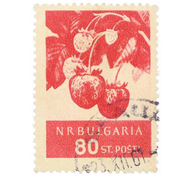 Почтовая марка 80 стотинок 1956 года Болгария «Клубника (Fragaria ananassa)» (Артикул: P2-0822) — Фото №1
