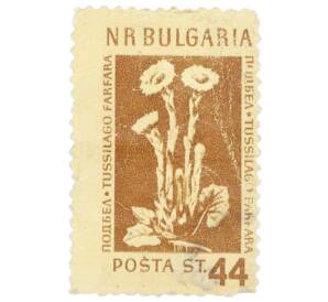Почтовая марка 44 стотинки 1954 года Болгария «Мать-и-мачеха (Tussilago coltsfoot)» — Фото №1