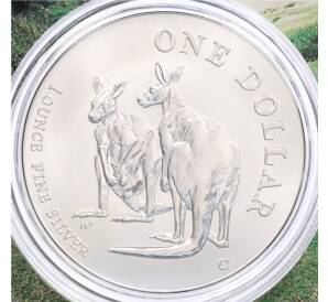 1 доллар 1999 года Австралия «Австралийский кенгуру» (в блистере) — Фото №1