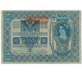 Банкнота 1000 крон 1919 года Австрия (Надпечатка на 1000 крон 1902 года) (Артикул: B2-14952) — Фото №1