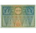Банкнота 1000 крон 1919 года Австрия (Надпечатка на 1000 крон 1902 года) (Артикул: B2-14952) — Фото №2