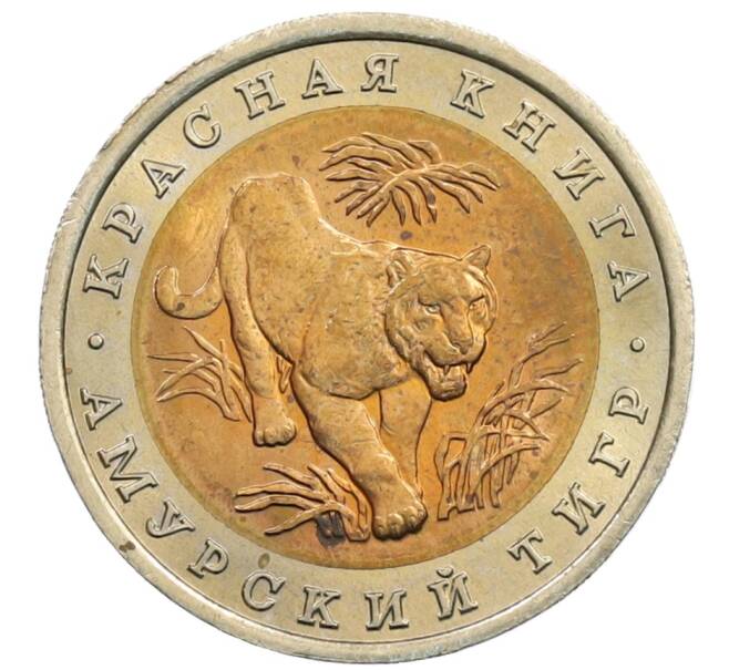 Монета 10 рублей 1992 года ЛМД «Красная книга — Амурский тигр» (Артикул: M1-65416) — Фото №1