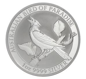 1 доллар 2019 года Австралия — Австралийская райская птица