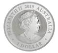 Монета 1 доллар 2019 года Австралия — Австралийская райская птица (Артикул M2-33434)